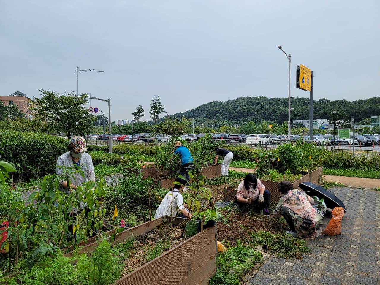 210827 자립생활교육5.jpg