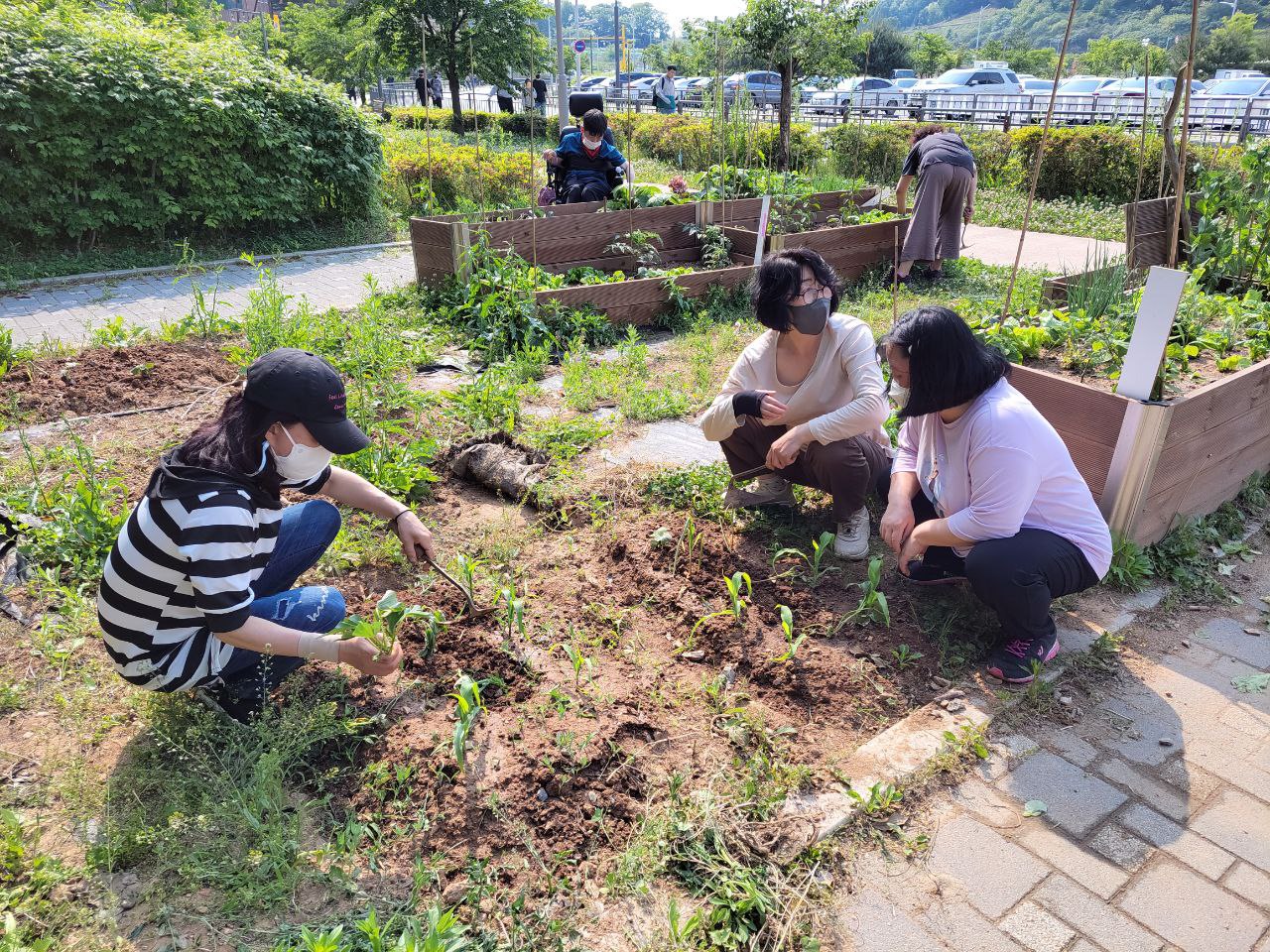 2022/05/20(금) - 슬기로운 텃밭생활