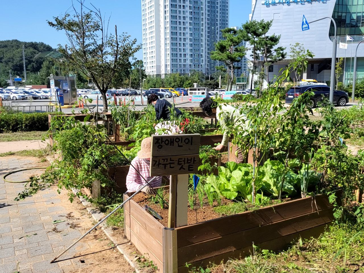2022/09/08(목) - 슬기로운 텃밭생활
