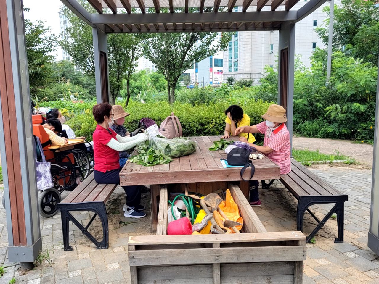 2022/08/18(목) - 슬기로운 텃밭생활