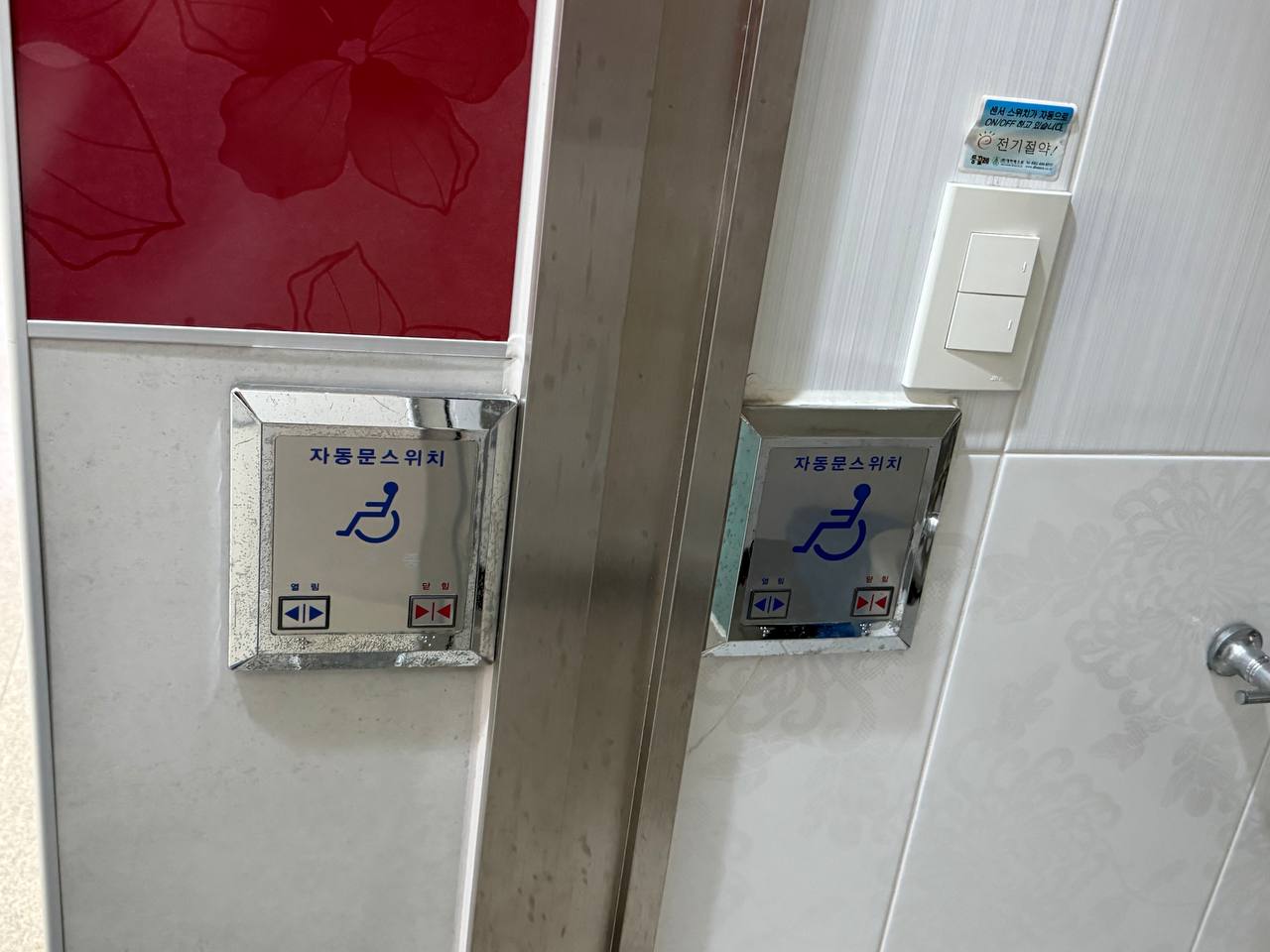 금파초4.jpg