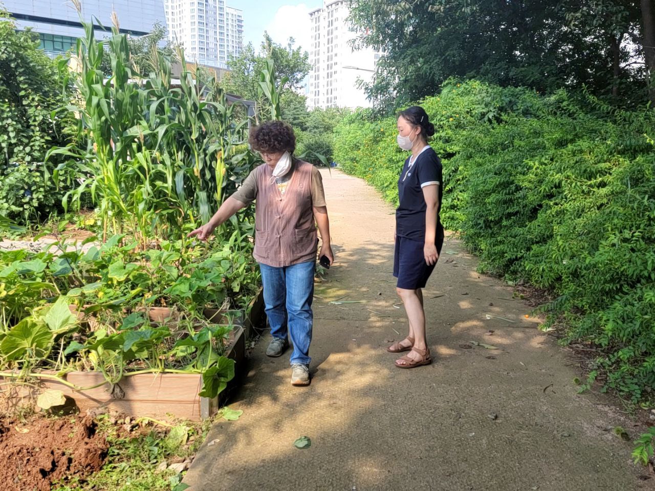 2022/08/04(목) - 슬기로운 텃밭생활