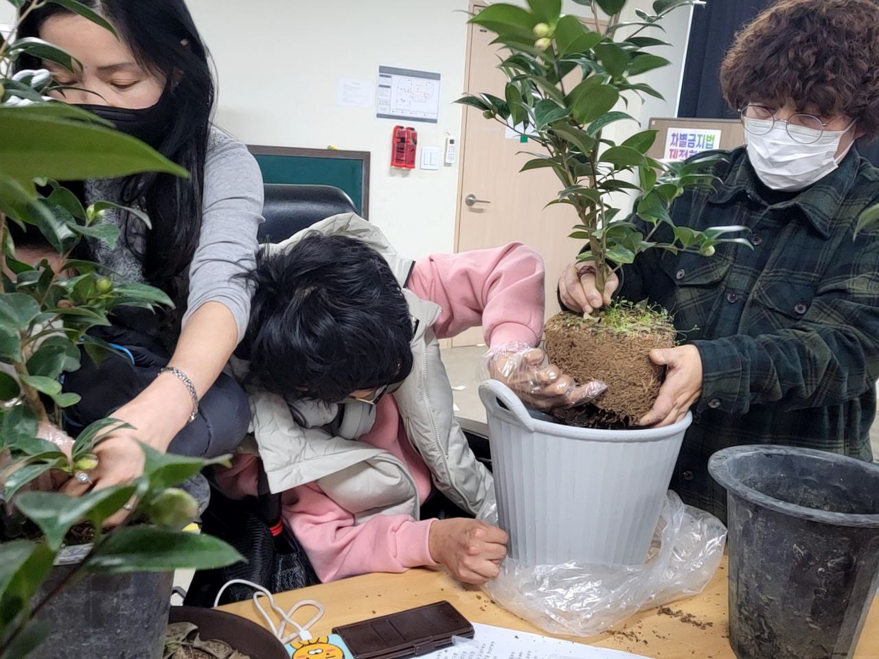 2022/12/09(금) - 원예(동백나무)