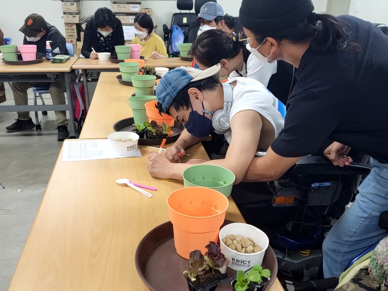 2022/09/13(화) - 원예(아삭이상추, 유럽상추 심기)