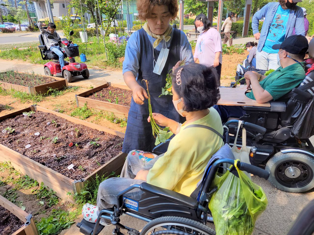 2022/05/20(금) - 슬기로운 텃밭생활