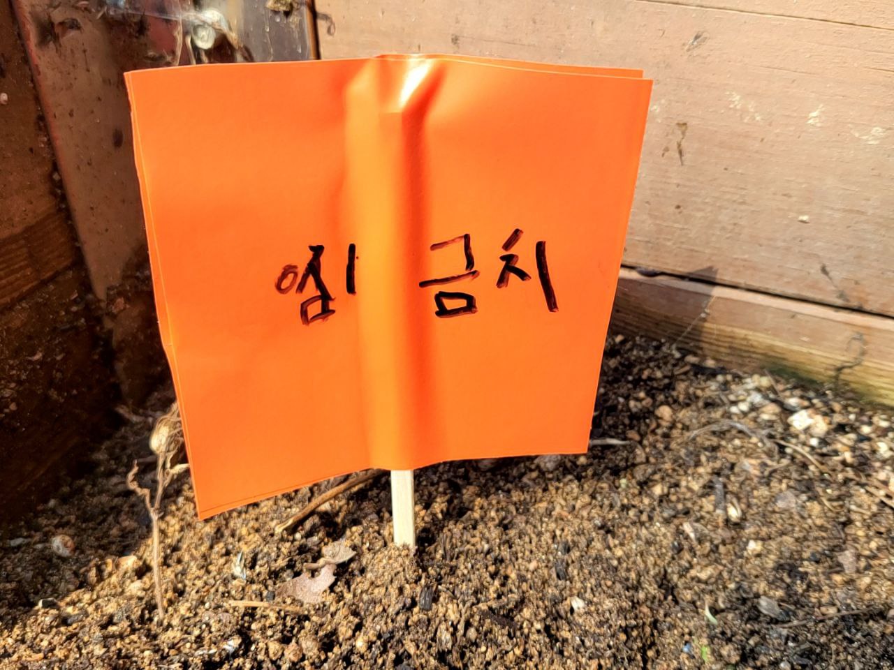 2022/08/04(목) - 슬기로운 텃밭생활
